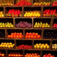 تامین کننده میوه فروشگاه یا شراکت کاری