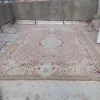 قالی|فرش|تربت جام, شهید نصرالهی|دیوار