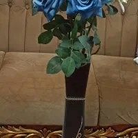 تعدادی وسایل خانه