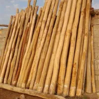 خرید انواع چوب
