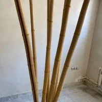 فرش و گلدان
