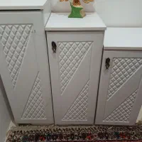 خرگوش چشم رنگی بازیگوش و رام شده و دستی