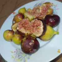 انجیر  درشت عسلی