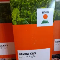 فروش انواع بذر چغندر