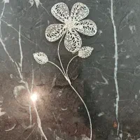 گل نقره