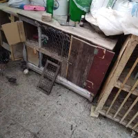 قفس چوبی 2عدد