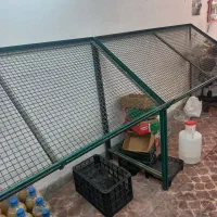 میز میوه فروشی