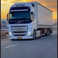 شراکت کشنده