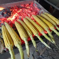 استخدام نگهبان