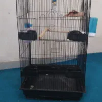 قفس پرنده خانگی(طوطی،کاسکو)
