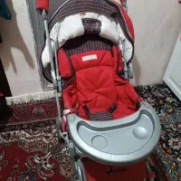 کالسکه|کالسکه و لوازم جانبی|سلماس, |دیوار