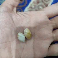 مهره|جواهرات|اهواز, کمپلو جنوبی|دیوار
