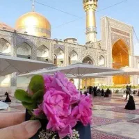 امسال کربلا/ بدون دغدغه هزینه « ۶ روز
