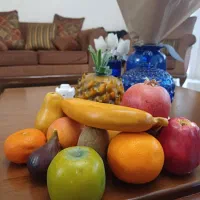 میوه مصنوعی