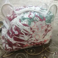 2عدد تور دروازه نو نو