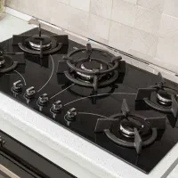 انواع گاز صفحه ای و توکار شیشه ای و استیل