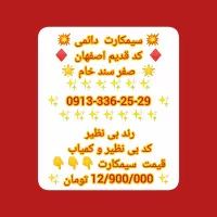 09133362529