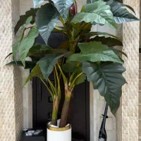 گل مصنوعی|گل مصنوعی|کیش, |دیوار