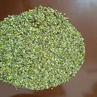 مغز پسته