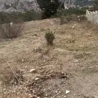 زمین برای ساخت ویلا در شمال