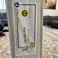 تشک‌ رویا