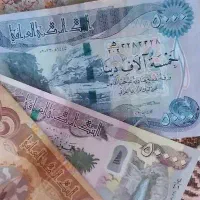 شیک و کلکسیونی