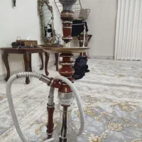 قلیان زرد چند ساله