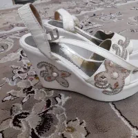 کفش مجلسی