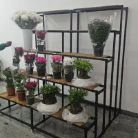 قفسه رگال پیشخوان