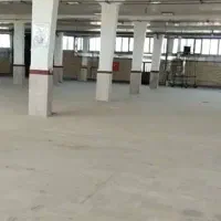 پرند2000متر