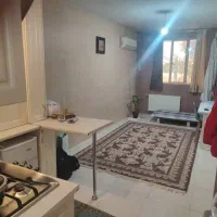 همخانه آقا موجه. خودم خانه دارم