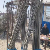 صنوبر اقتصادی برای سود چندساله