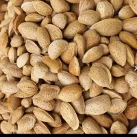 بادام درختی درجه یک اصل عمده زیر۳کیلوفروش نداریم