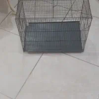 قفس پرنده