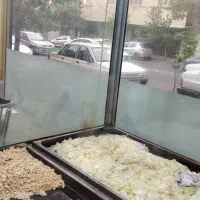 استخدام آشپزی در جگر پزی تابه‌ای یک خانم مجرب