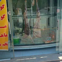 یخچال ویترینی مارک الکترو استیل