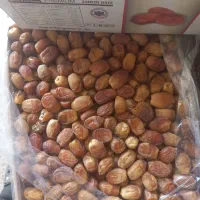 خرمای زاهدی