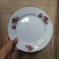 ظرف چینی