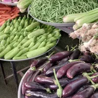 نیرو کار جوان برای میوه فروشی