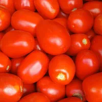 رب‌گیری‌گوجه‌بادستگاه‌تمام اتوماتیک