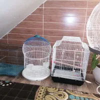قفس پرنده 4تا