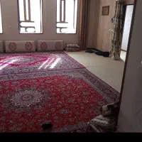 قالی تمام نخ بدون پلاستیک ۲ عدد