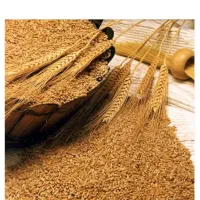 یونجه ذرت علوفه تفاله چغندر ،جو ، گوجه سبوس اسیاب
