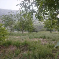 باغ۳۰۰۰ متری شروینه