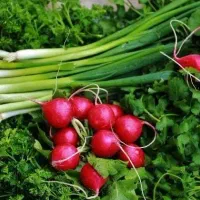 سبزی و صیفی جات مناسب مراسمات شما
