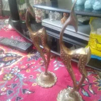 رومیزی تعضینی  قدمیمی