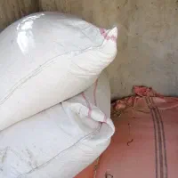 کاه