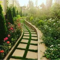 خدمات و طراحی فضای سبز