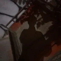 گاری تریلر