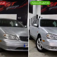 پولیش،احیای رنگ /هزینه با کالا هم قابل پرداخت